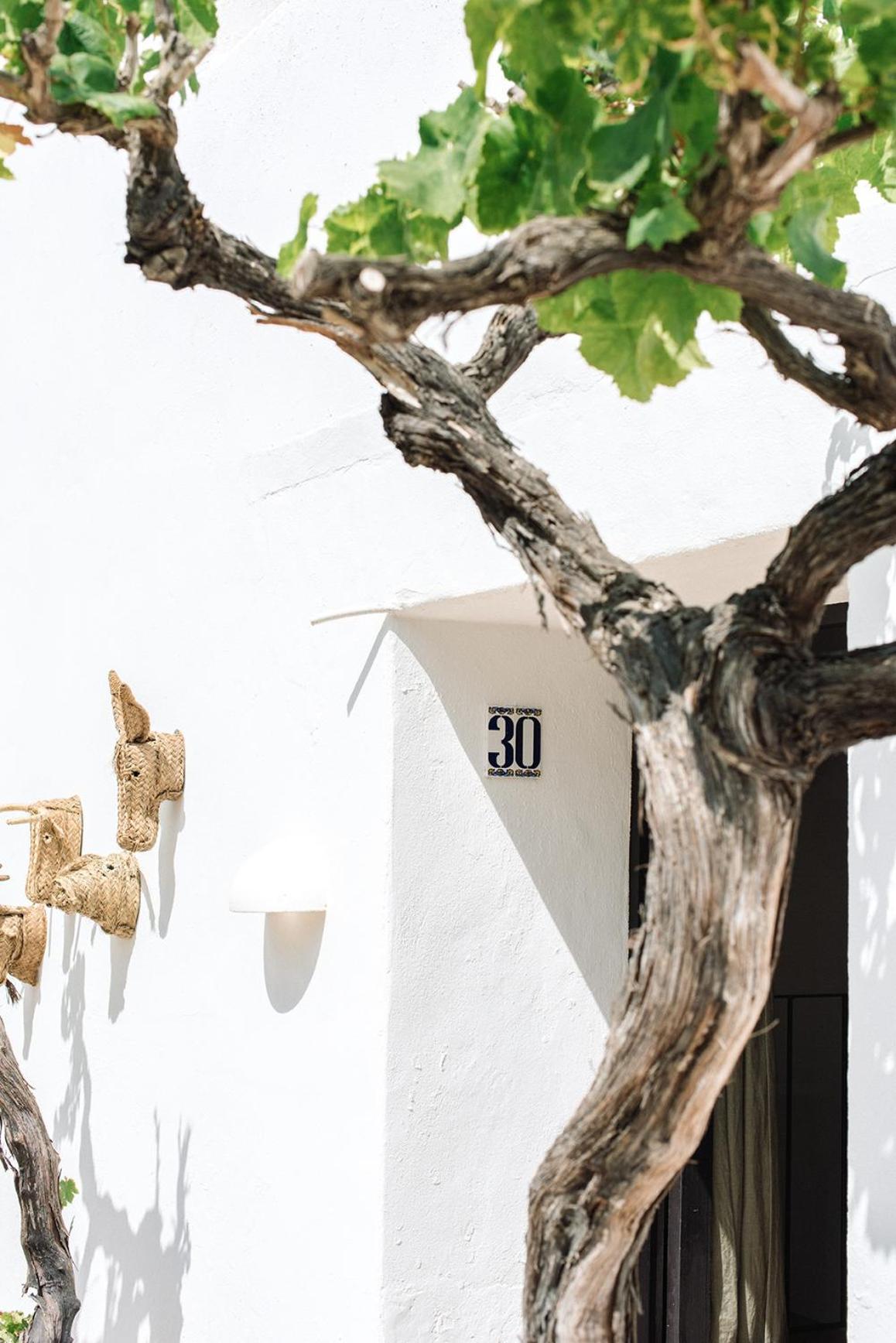סנטה אאולריה דס ריו Finca Legado Ibiza מראה חיצוני תמונה